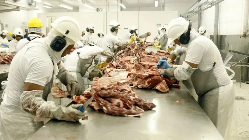 Carne pode ficar mais barata? Entenda por que exportações para a China entraram em alerta