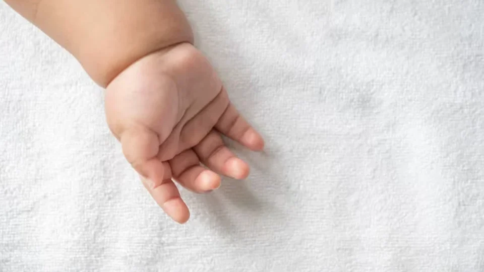 Bebê de 6 meses é resgatada em mata após mãe adolescente ser suspeita de tentativa de homicídio