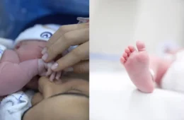 Lauana Prado anuncia nascimento do primeiro filho, Dom, e celebra nova fase ao lado da esposa