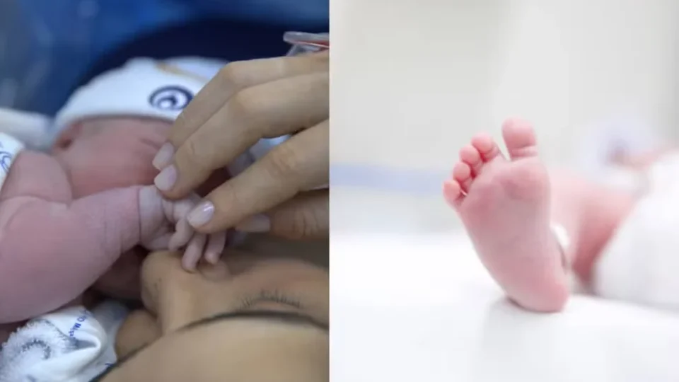 Lauana Prado anuncia nascimento do primeiro filho, Dom, e celebra nova fase ao lado da esposa