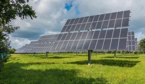 ONS prevê cortes de até 40 GW em energia solar e eólica até 2030