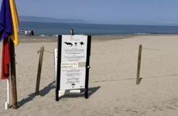 Homem morre após ser arrastado por crocodilo em praia turística no México
