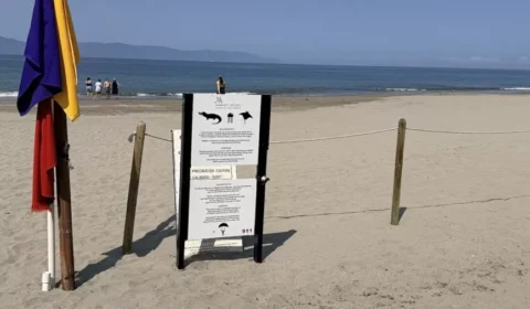 Homem morre após ser arrastado por crocodilo em praia turística no México