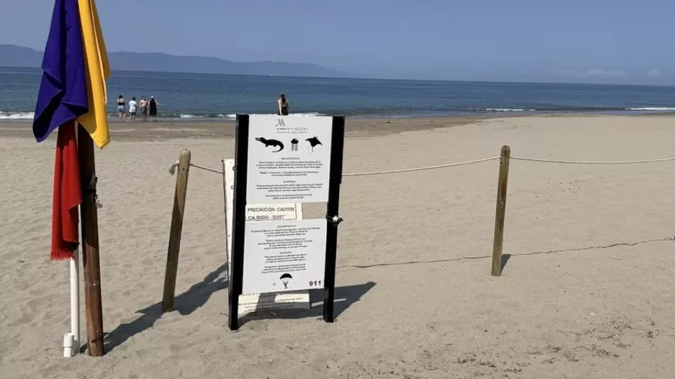 Homem morre após ser arrastado por crocodilo em praia turística no México
