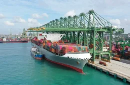 Mercosul e Singapura: acordo amplia oportunidades para o agro brasileiro na Ásia