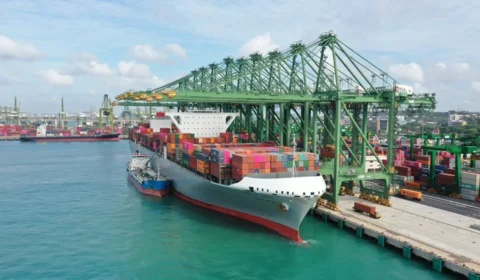 Mercosul e Singapura: acordo amplia oportunidades para o agro brasileiro na Ásia