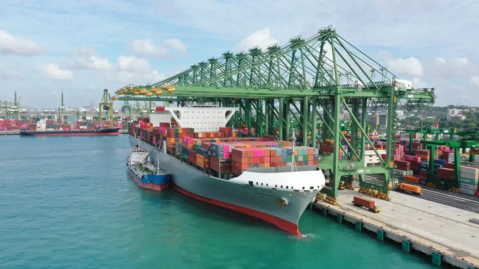 Mercosul e Singapura: acordo amplia oportunidades para o agro brasileiro na Ásia