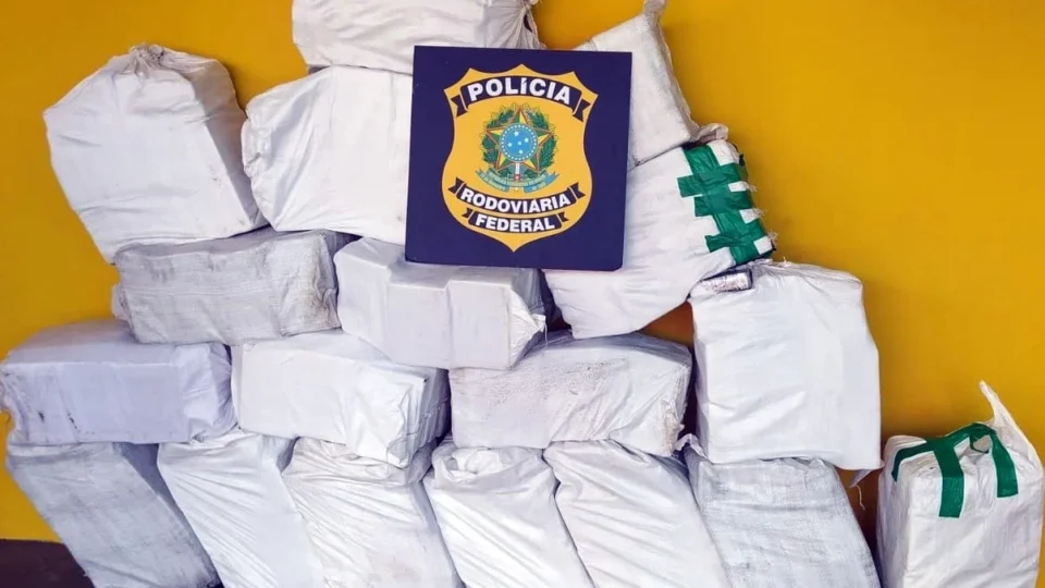 PRF faz maior apreensão de cocaína do ano na BR-101 em SC