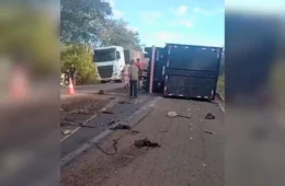 Motorista de 74 anos morre após colisão entre caminhonete e caminhão na BR-153, no Tocantins