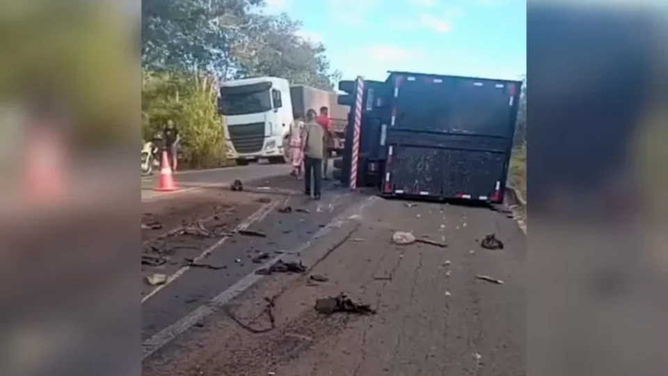 Motorista de 74 anos morre após colisão entre caminhonete e caminhão na BR-153, no Tocantins