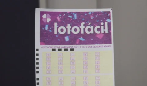 Resultados Lotofácil 3732: R$ 911 mil divididos entre dois
