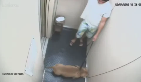Homem é indiciado por suspeita de matar cachorro afogado na Praia de Copacabana