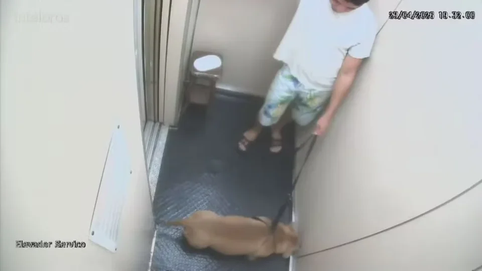 Homem é indiciado por suspeita de matar cachorro afogado na Praia de Copacabana