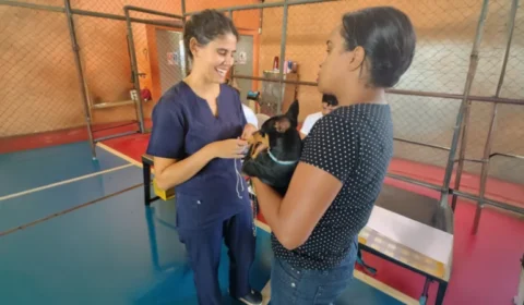 Seu pet precisa de castração? BH abre vagas gratuitas para cães e gatos; veja como participar