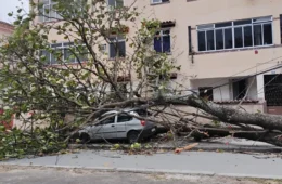 Dois dias após vendaval, moradores da Tijuca ainda enfrentam falta de luz e cobram resposta