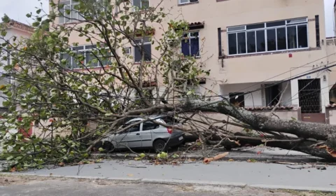 Dois dias após vendaval, moradores da Tijuca ainda enfrentam falta de luz e cobram resposta