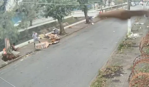 Árvore despenca durante vendaval e vídeo revela os segundos que terminaram em tragédia no litoral de SP