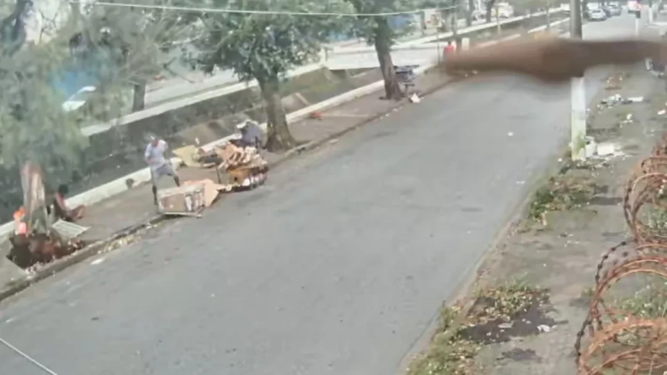 Árvore despenca durante vendaval e vídeo revela os segundos que terminaram em tragédia no litoral de SP
