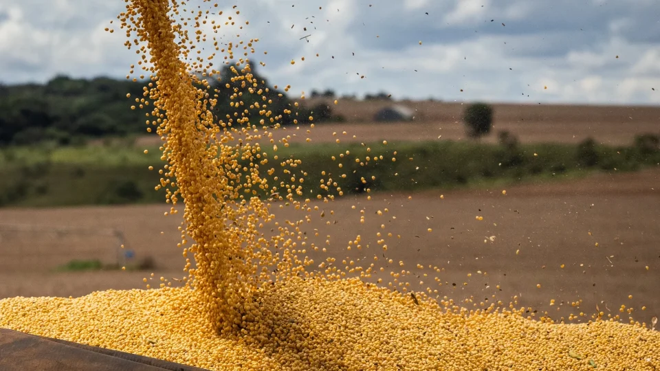 Produção de grãos deve alcançar 360,8 milhões de toneladas na safra 2025/26