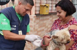São Paulo oferece vacina gratuita contra raiva para cães e gatos em 20 postos; veja endereços