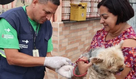 São Paulo oferece vacina gratuita contra raiva para cães e gatos em 20 postos; veja endereços