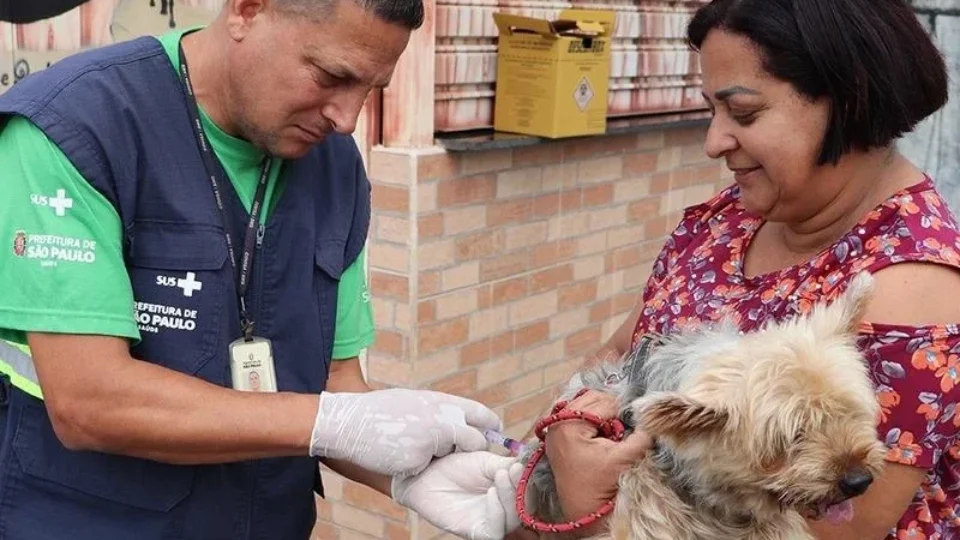São Paulo oferece vacina gratuita contra raiva para cães e gatos em 20 postos; veja endereços