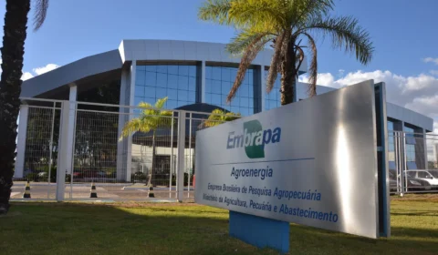 Embrapa recomenda planejamento antecipado para reduzir impactos do El Niño na safra 2026/27