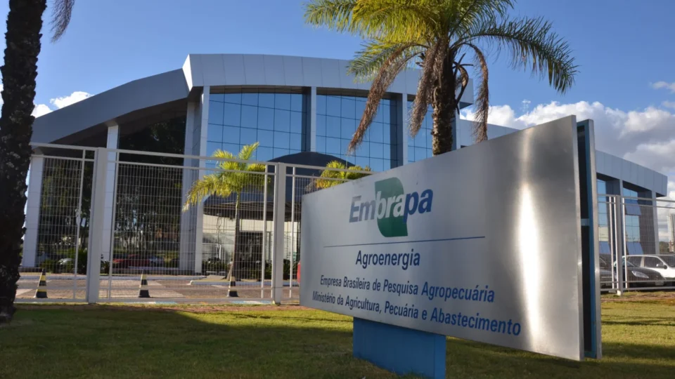 Embrapa recomenda planejamento antecipado para reduzir impactos do El Niño na safra 2026/27