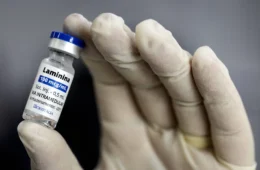 Aplicações de polilaminina em uso compassivo registram sete mortes