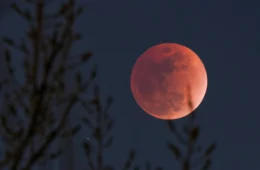 Eclipse solar em Agosto: onde e como assistir ao fenômeno