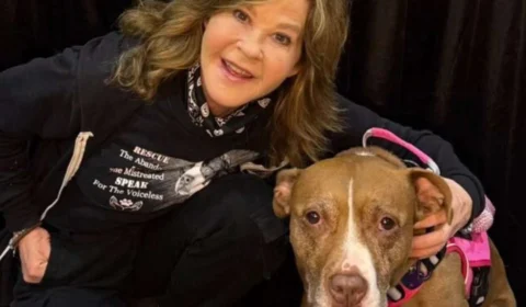 Inspeção encontra 251 cães em abrigo de Linda Blair na Califórnia