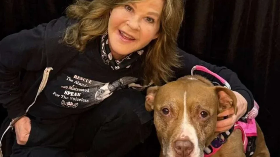 Inspeção encontra 251 cães em abrigo de Linda Blair na Califórnia