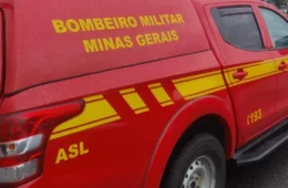 Bombeiros combatem incêndio em área de mata na região Nordeste de BH