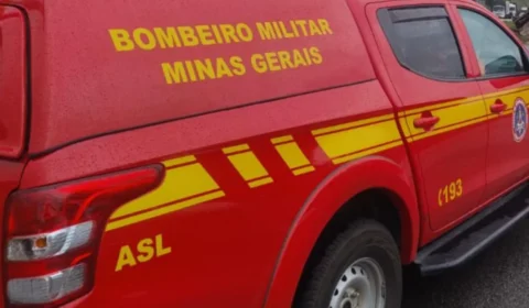 Bombeiros combatem incêndio em área de mata na região Nordeste de BH