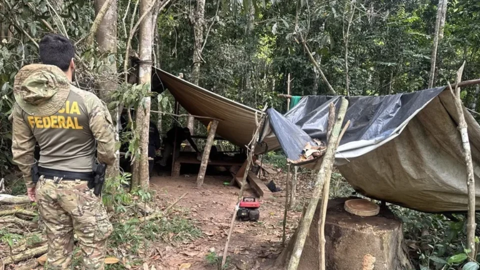 Operação combate extração ilegal de madeira em Terra Indígena de Rondônia