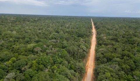 CNA percorre BR-319 e aponta desafios para o escoamento da produção entre Rondônia e Amazonas