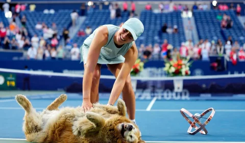 Iga Swiatek vence WTA Canadá e sobe no ranking antes do US Open