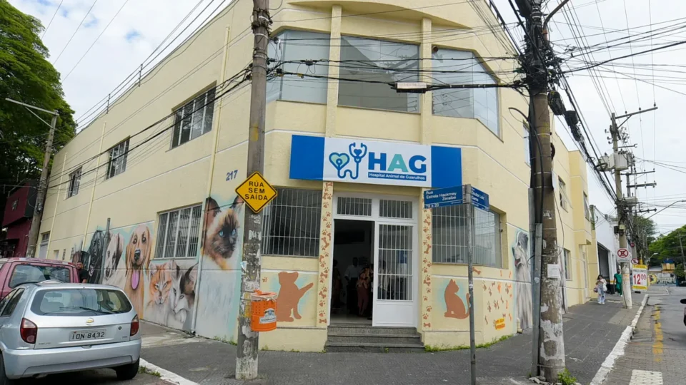 Hospital veterinário público está parado há mais de um ano: moradores de Guarulhos pedem solução