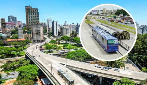 Obra do BRT vai retirar quase 500 árvores na Zona Leste de São Paulo