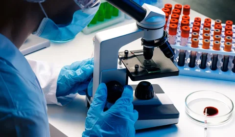 Exame de sangue pode revelar a idade biológica de cada órgão, aponta estudo