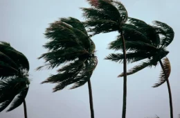 Ciclone extratropical deve atingir o Sul com ventos de até 100 km/h