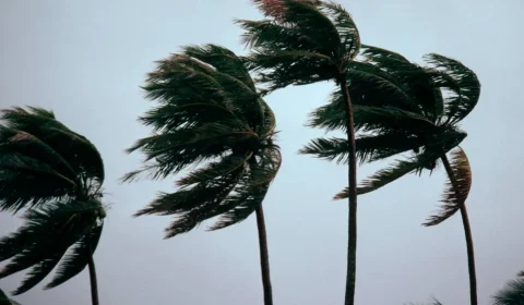 Ciclone extratropical deve atingir o Sul com ventos de até 100 km/h