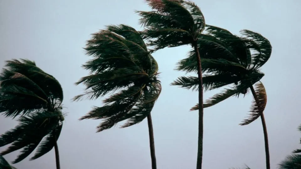 Ciclone extratropical deve atingir o Sul com ventos de até 100 km/h