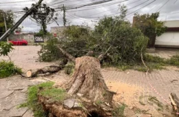 Temporais avançam no RS, atingem 47 municípios e deixam rastro de destruição