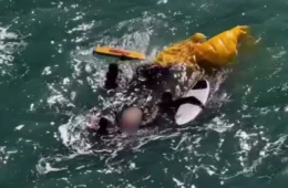 Coronel aposentado morre após parapente ser atingido por linha de pipa no Rio