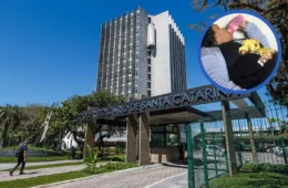 Mulher que fingia ter 12 anos é condenada após viver 14 meses com família em Joinville
