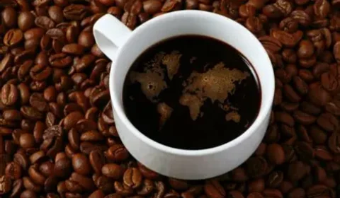Brasileiros lideram consumo de café por habitante e reforçam paixão nacional pela bebida