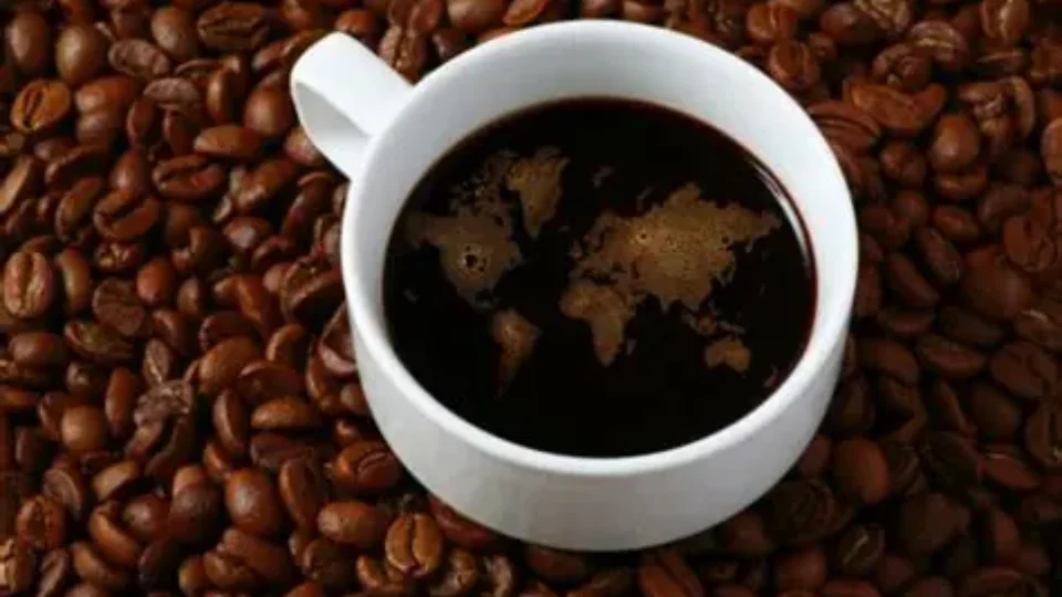 Brasileiros lideram consumo de café por habitante e reforçam paixão nacional pela bebida