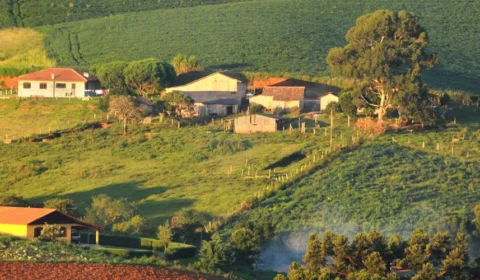 ITR 2026: prazo começa hoje para declarar até 30 de setembro