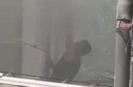 Bebê é resgatado pela janela durante incêndio em prédio na Zona Norte de Manaus